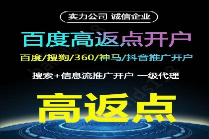 案例研究：SEM开户助力电商快速崛起